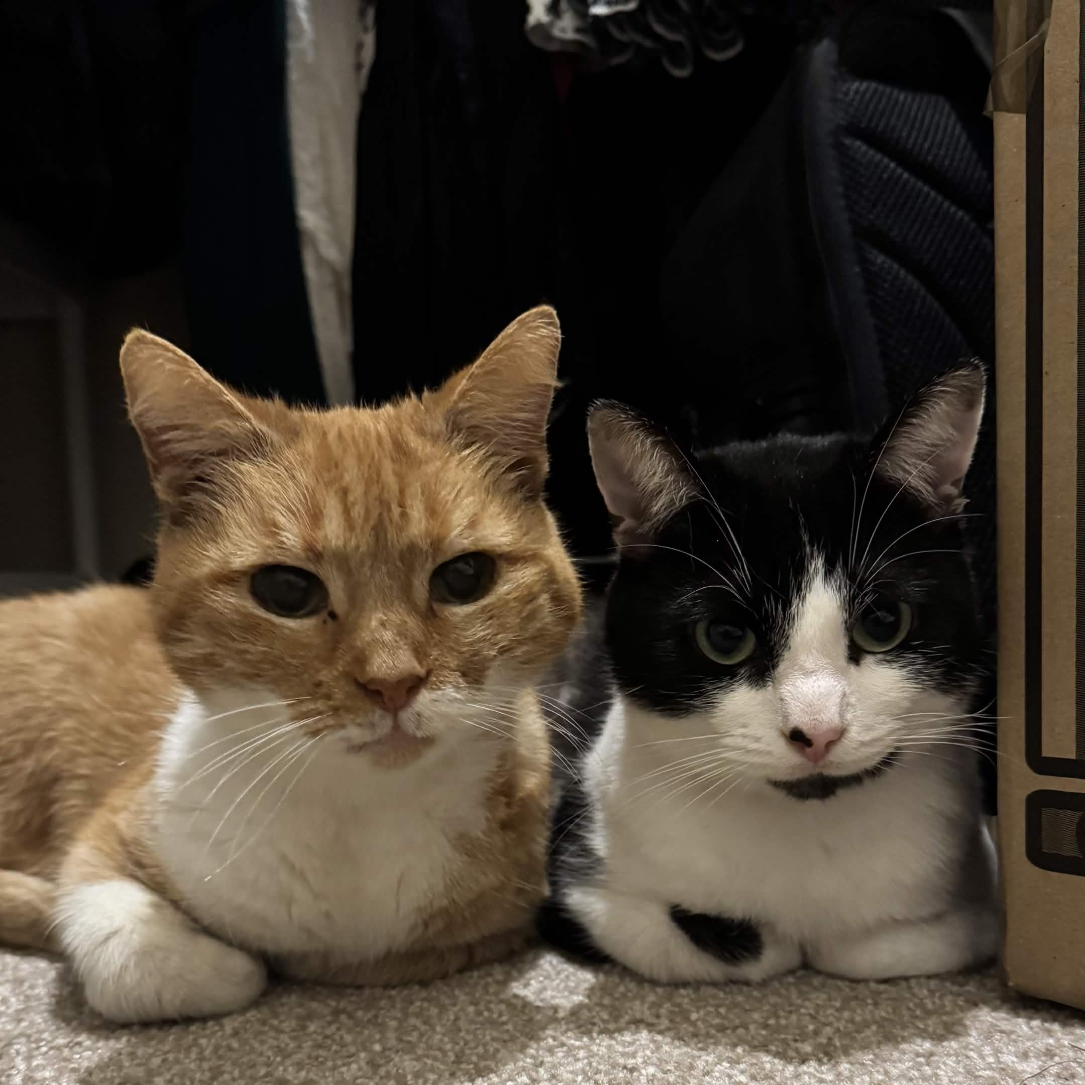 Ned and Nancy, Crosshouse office supervisors